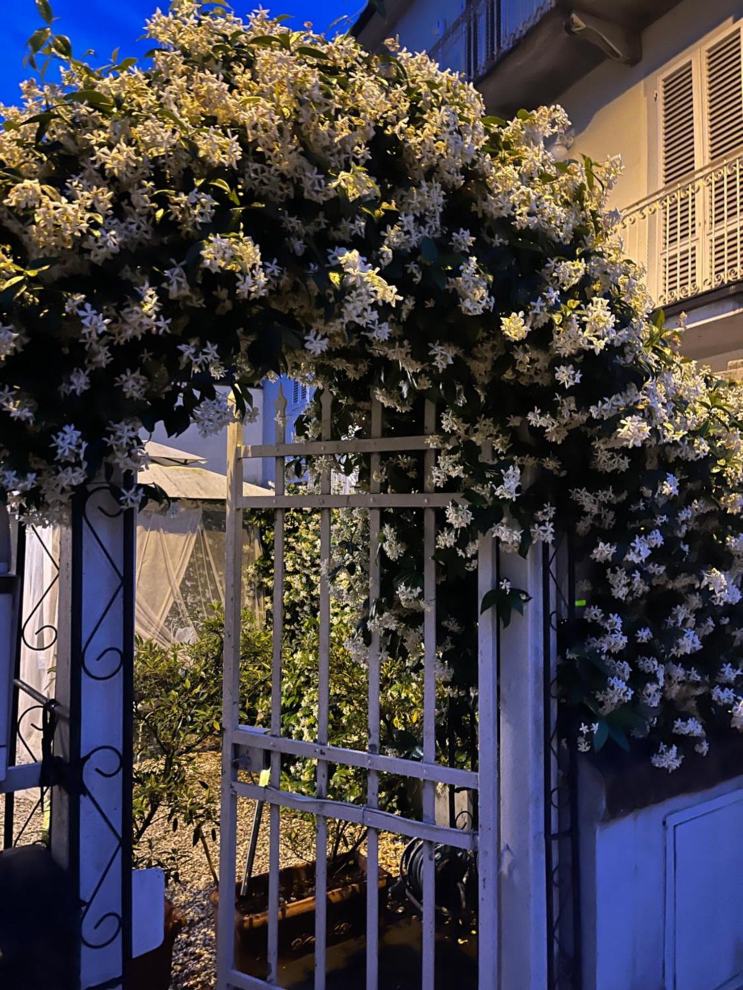 Whiteloft In Lucca Villa Eksteriør billede